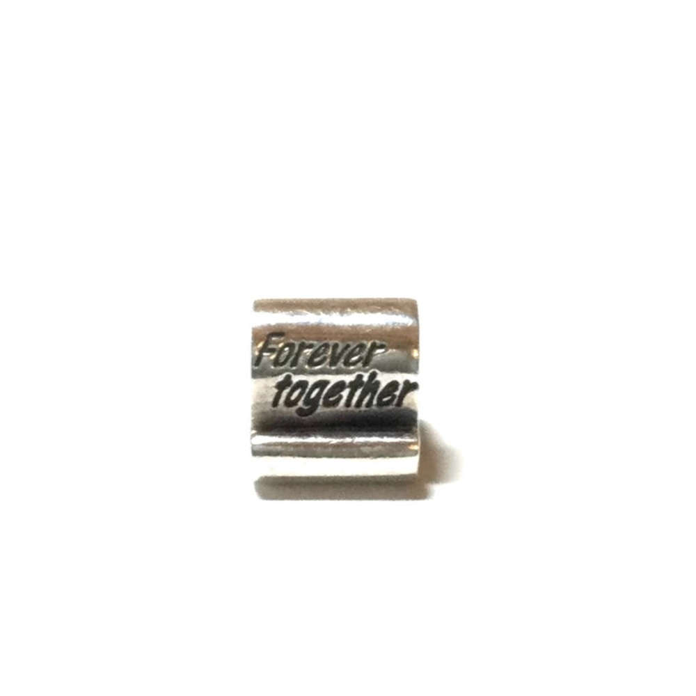 Pandora Forever Together Charm #790513